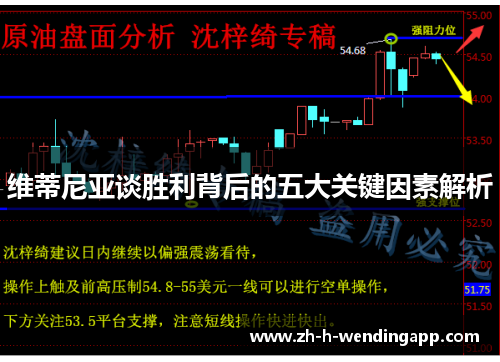 维蒂尼亚谈胜利背后的五大关键因素解析 维蒂尼亚谈胜利背后的五大关键因素解析