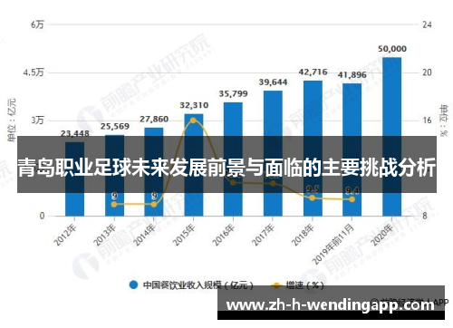 青岛职业足球未来发展前景与面临的主要挑战分析