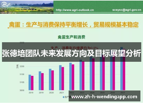 张德培团队未来发展方向及目标展望分析 张德培团队未来发展方向及目标展望分析