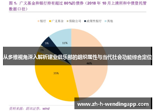 从多维视角深入解析建业俱乐部的组织属性与当代社会功能综合定位 从多维视角深入解析建业俱乐部的组织属性与当代社会功能综合定位
