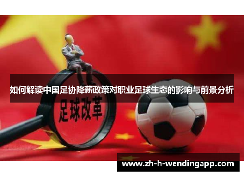 如何解读中国足协降薪政策对职业足球生态的影响与前景分析