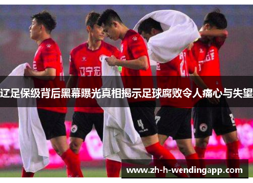 辽足保级背后黑幕曝光真相揭示足球腐败令人痛心与失望 辽足保级背后黑幕曝光真相揭示足球腐败令人痛心与失望